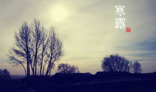 寒露时要注意什么 爱养生的人要注意了