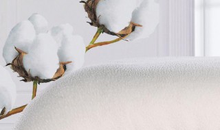 热熔棉被子和纯棉花被子区别 两种被子区别