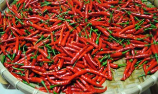 怎样做垛辣椒 剁辣椒要怎么做