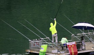 走水打窝技巧 走水打窝神器制作方法