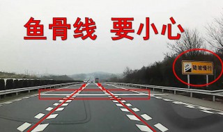 鱼骨线怎么走 新手司机注意