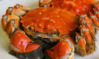 螃蟹死了能吃吗 谁知道