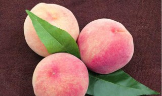 晚红脆与迎霜红有什么区别 都好吃