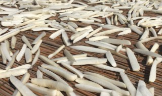 白萝卜干怎么晒 这样做准没错