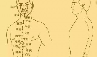 腧穴的位置 七大方法定腧穴