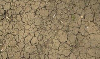 土壤板结硬化怎样处理 为你介绍3个解决方法