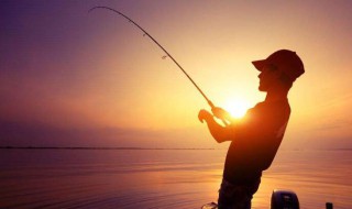 路亚炸线的原因有哪些 解决方法分享