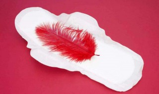 月经期吃什么排毒祛斑 下面简单介绍一下