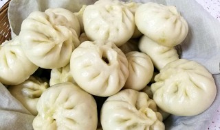 青菜豆腐包子馅的做法 青菜豆腐包子的制作技巧