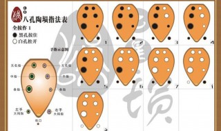 八孔埙指法 你会吗？