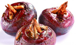 地梨的腌制方法 如何腌制小地梨