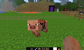 迷你世界怎么驯服猪生宝宝 迷你世界如何驯服猪生宝宝