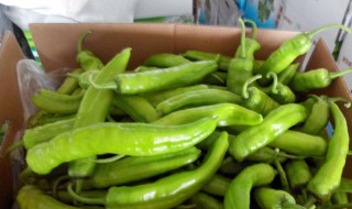 素辣椒酱的做法 美食达人教你简单制作方法