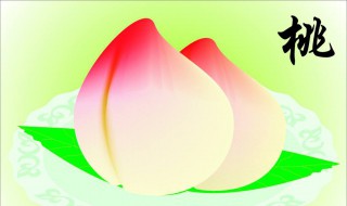 桃子油的功效 主要有哪些