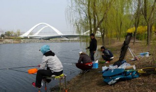 子线跑铅钓法 基本要领