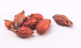 栀子泡水喝的害处 这三点看了就明白