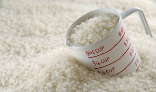 粘米与糯米的区别 粘米与糯米有什么不同