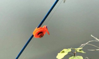 长竿短线一般多长合适 钓鱼也需要准备的