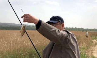 长杆短线一般多长合适 和你的选择有关