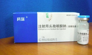 6542能与头孢配伍吗 这几点要明白