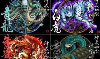 怎么看左青龙右白虎 龙虎是指什么