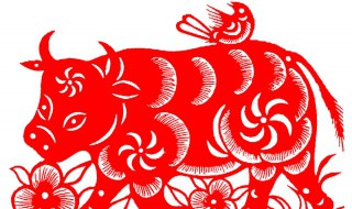 属牛2020年每月运势及运程 详细讲解如下