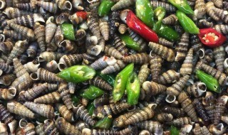 地螺的腌制方法 家常做法教给你