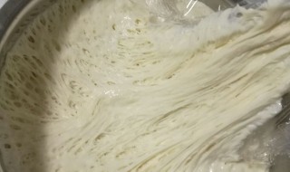 商用半发面的做法 半发面的含义