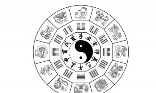 什么八字适合学命理 你适合吗