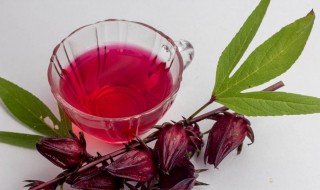 红桃k的籽有什么用 红桃k的籽孑可以吃吗