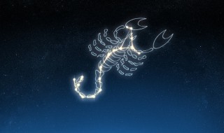 十一月一号什么星座 阳历十一月一号什么星座