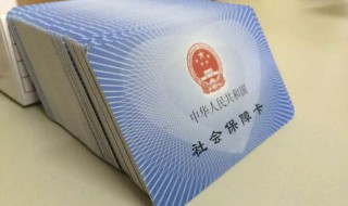 农村手机查社保用什么软件 掌上办事