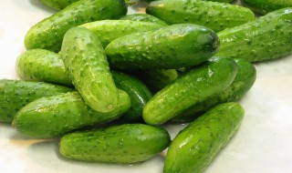 秋天小黄瓜腌制方法 快来学一下吧