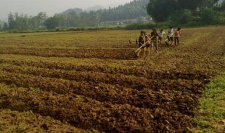 梦见种地什么意思 周公是如何解梦的