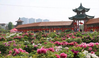 菏泽和谐家园附近有幼儿园吗 读书育人