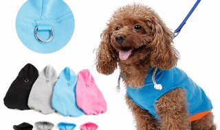 泰迪衣服制作图纸 详讲制作步骤