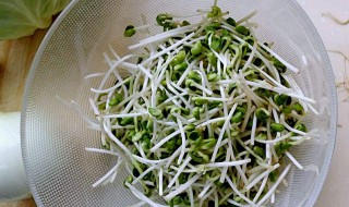 豆芽抽检不合格如何处理 如果豆芽抽检不合格有什么后果