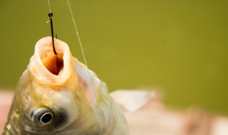 哪种朝天钩最好 什么样的朝天钩好用