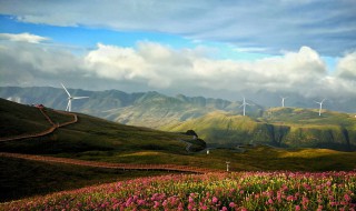 广州到赫章韭菜坪自驾一天能否到达 旅游景点大全