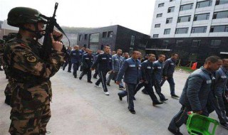 犯人出狱怎么回家 需要做什么