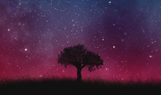 描写夜晚的好句 夜晚的优美段落