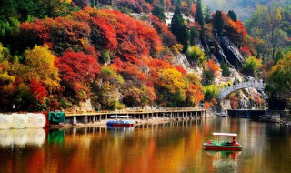 山东看红叶有哪些好景区 这几处地方美过香山