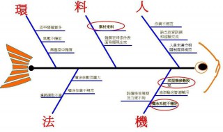 鱼骨图分析方法案例 使用鱼骨图分析原因