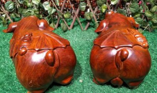 缅甸花梨哪种料最好 怎么挑选缅甸花梨原料