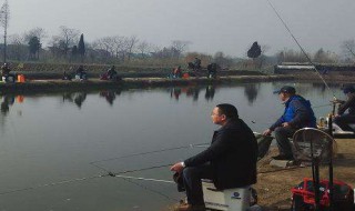 黑坑大物怎么钓 几个黑坑技巧让你钓得更多