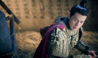 万古武帝大结局 来看看吧