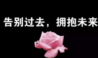 人生励志句子 句句正能量