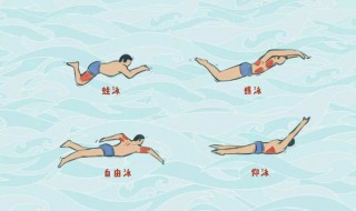 正确的蛙泳漂浮 你学会了吗