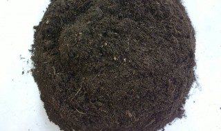 泥炭土怎样制作 希望可以帮助到您