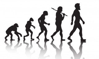 我们的祖先是如何进化来的 我们的祖先是怎么来的